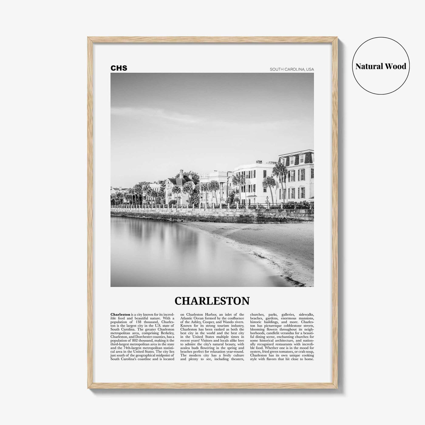 Charleston Print Black and White South Carolina No 1, Charleston Wall Art, Charleston Poster, Charleston Photo, USA, United States