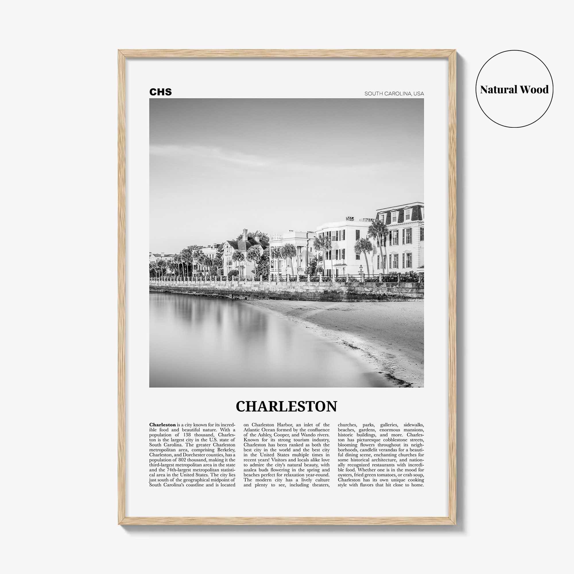 Charleston Print Black and White South Carolina No 1, Charleston Wall Art, Charleston Poster, Charleston Photo, USA, United States