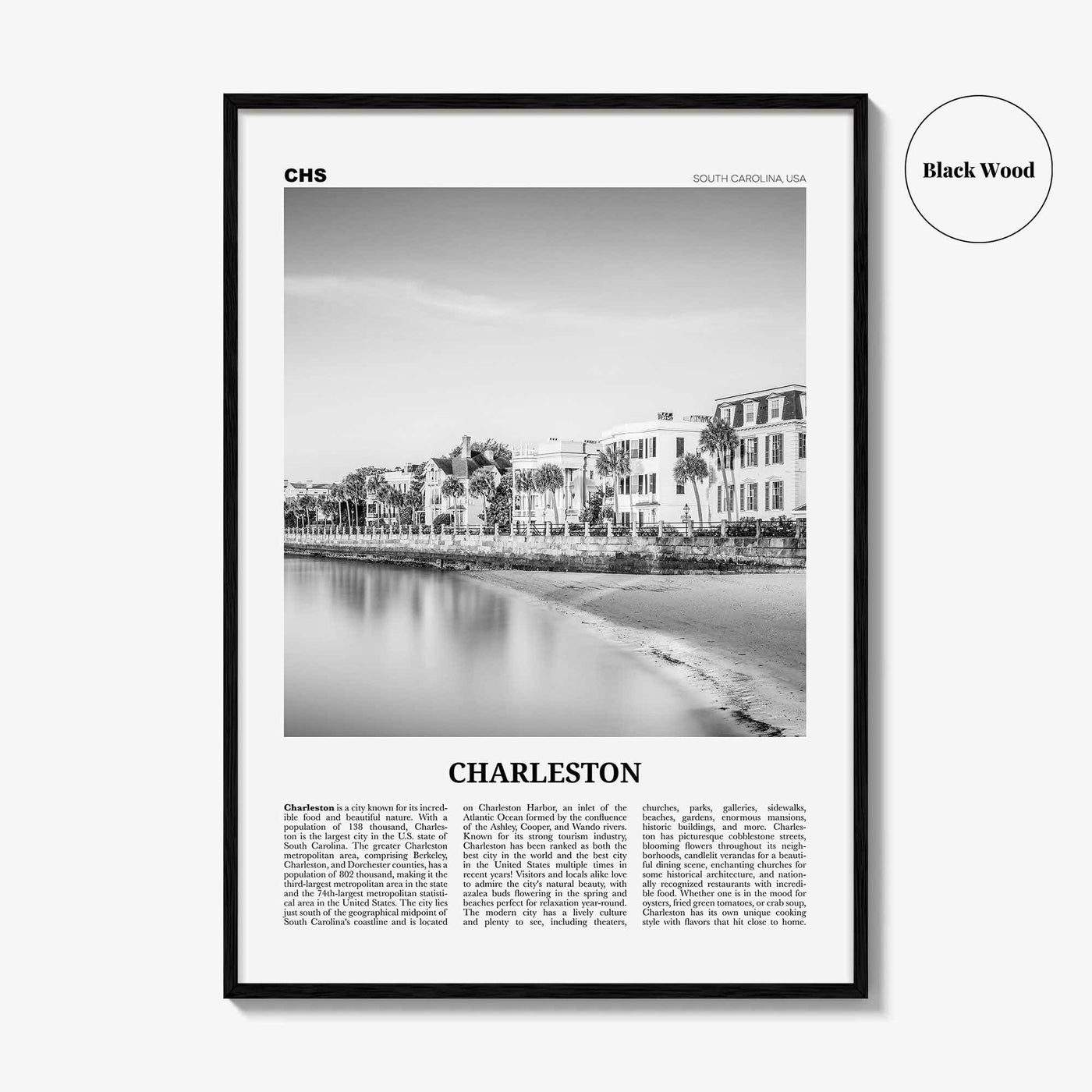 Charleston Print Black and White South Carolina No 1, Charleston Wall Art, Charleston Poster, Charleston Photo, USA, United States