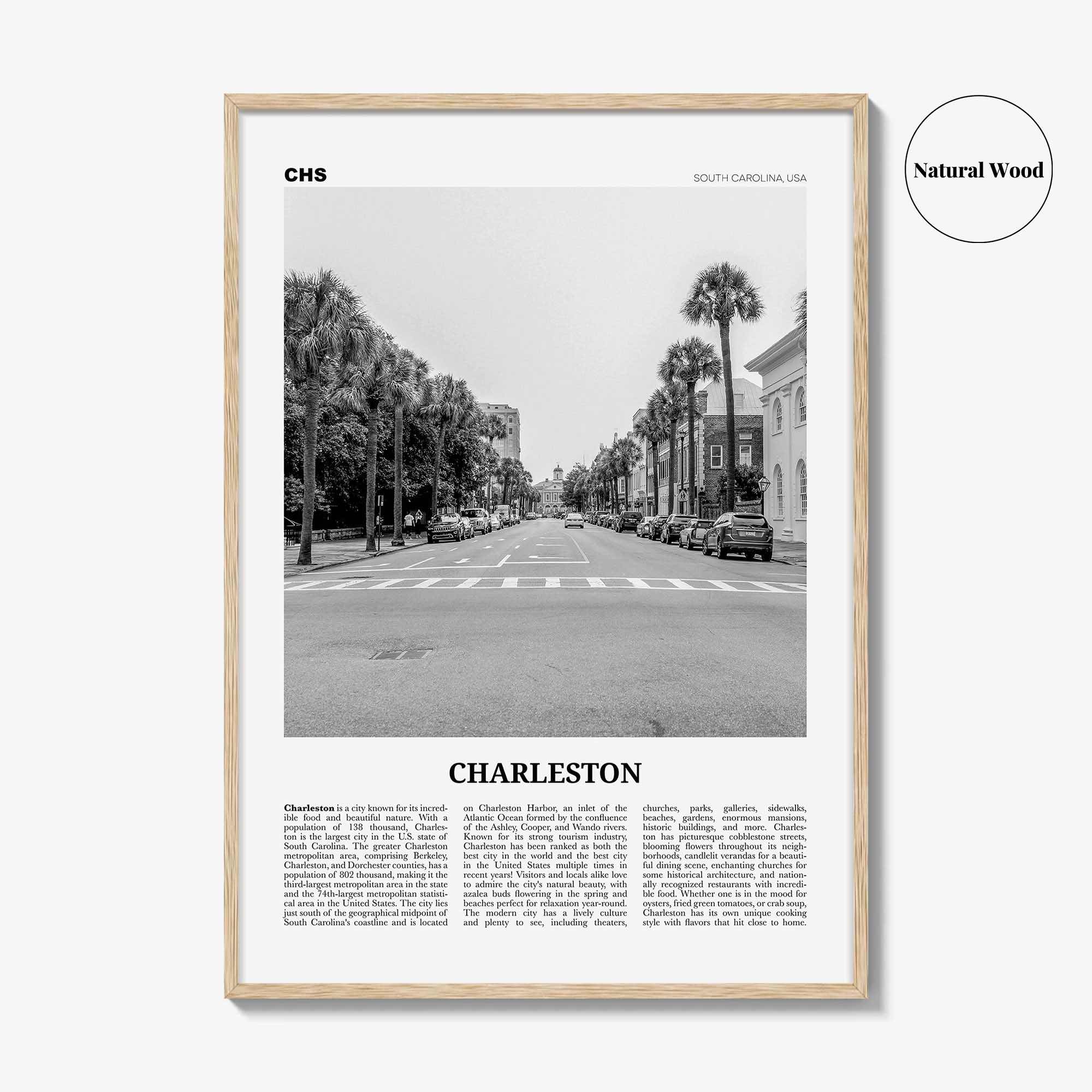 Charleston Print Black and White South Carolina No 2, Charleston Wall Art, Charleston Poster, Charleston Photo, USA, United States
