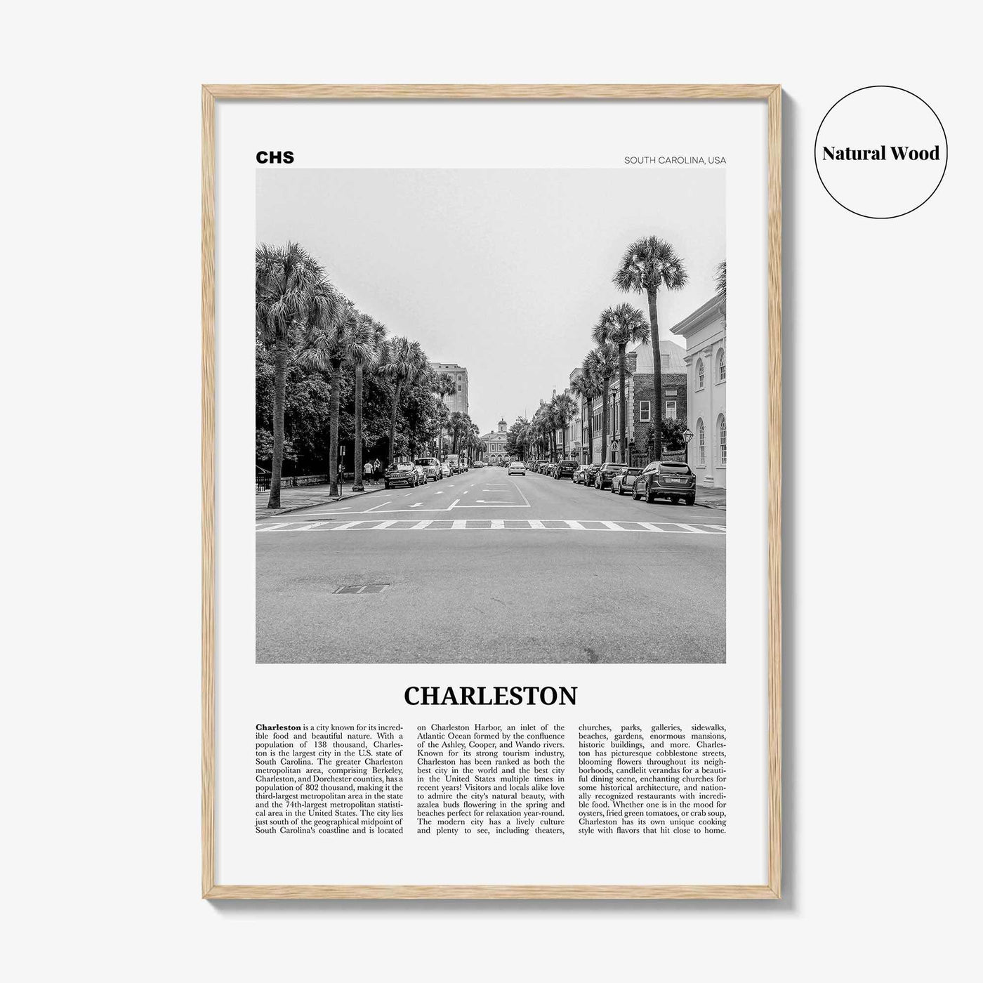 Charleston Print Black and White South Carolina No 2, Charleston Wall Art, Charleston Poster, Charleston Photo, USA, United States