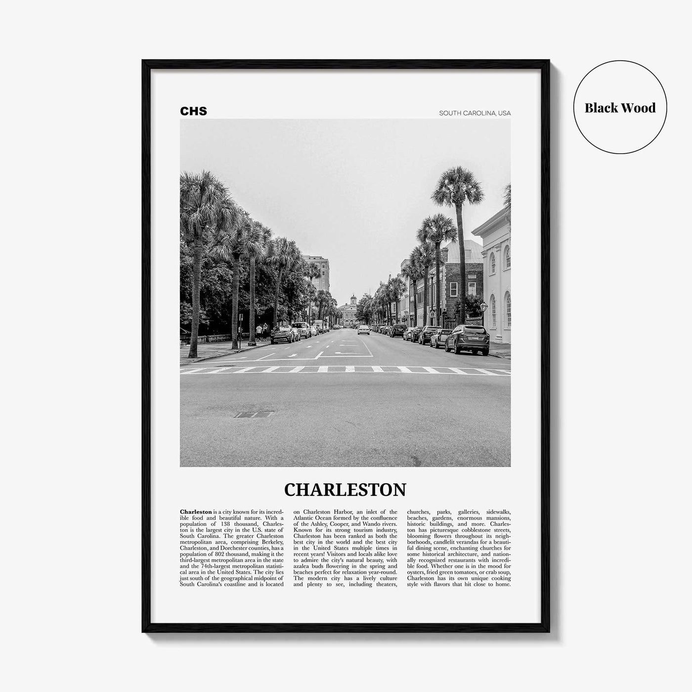 Charleston Print Black and White South Carolina No 2, Charleston Wall Art, Charleston Poster, Charleston Photo, USA, United States