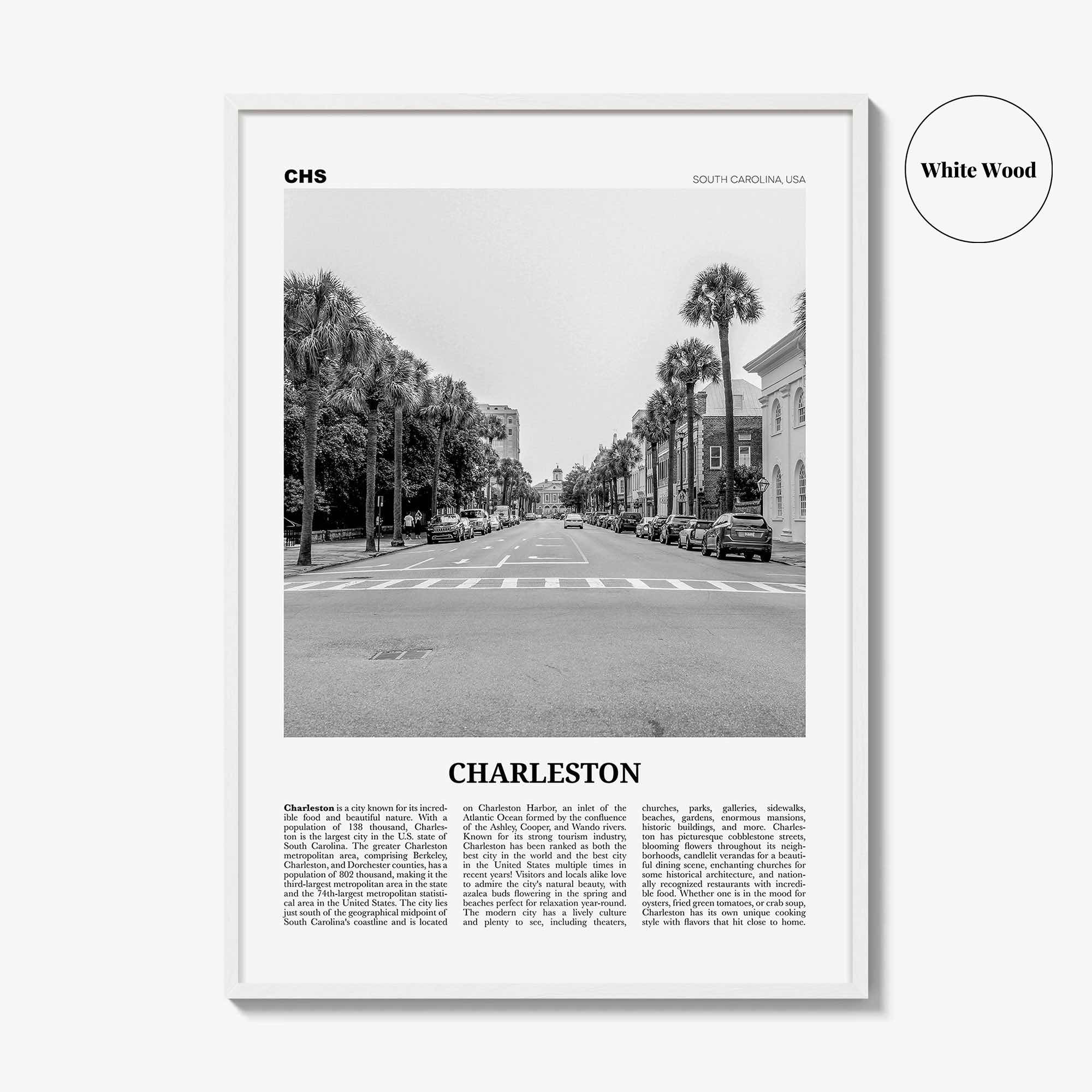 Charleston Print Black and White South Carolina No 2, Charleston Wall Art, Charleston Poster, Charleston Photo, USA, United States