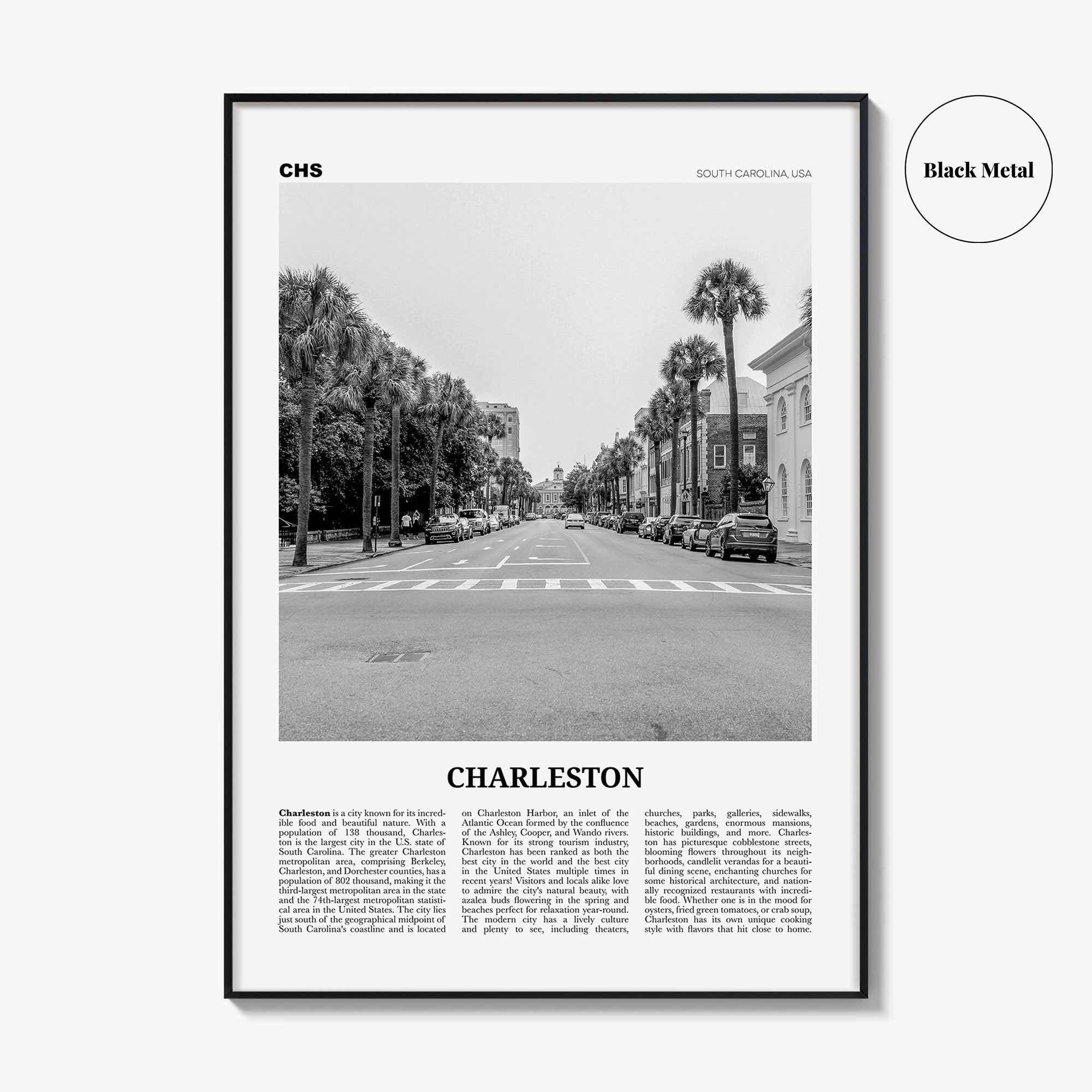 Charleston Print Black and White South Carolina No 2, Charleston Wall Art, Charleston Poster, Charleston Photo, USA, United States