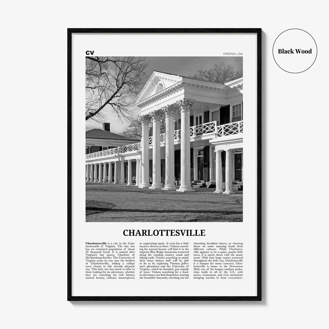 Charlottesville Print Black and White No 2, Charlottesville Wall Art, Charlottesville Poster, Charlottesville Photo, Charlottesville