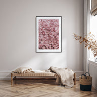 Cherry Blossoms Photo Color No 2 Poster