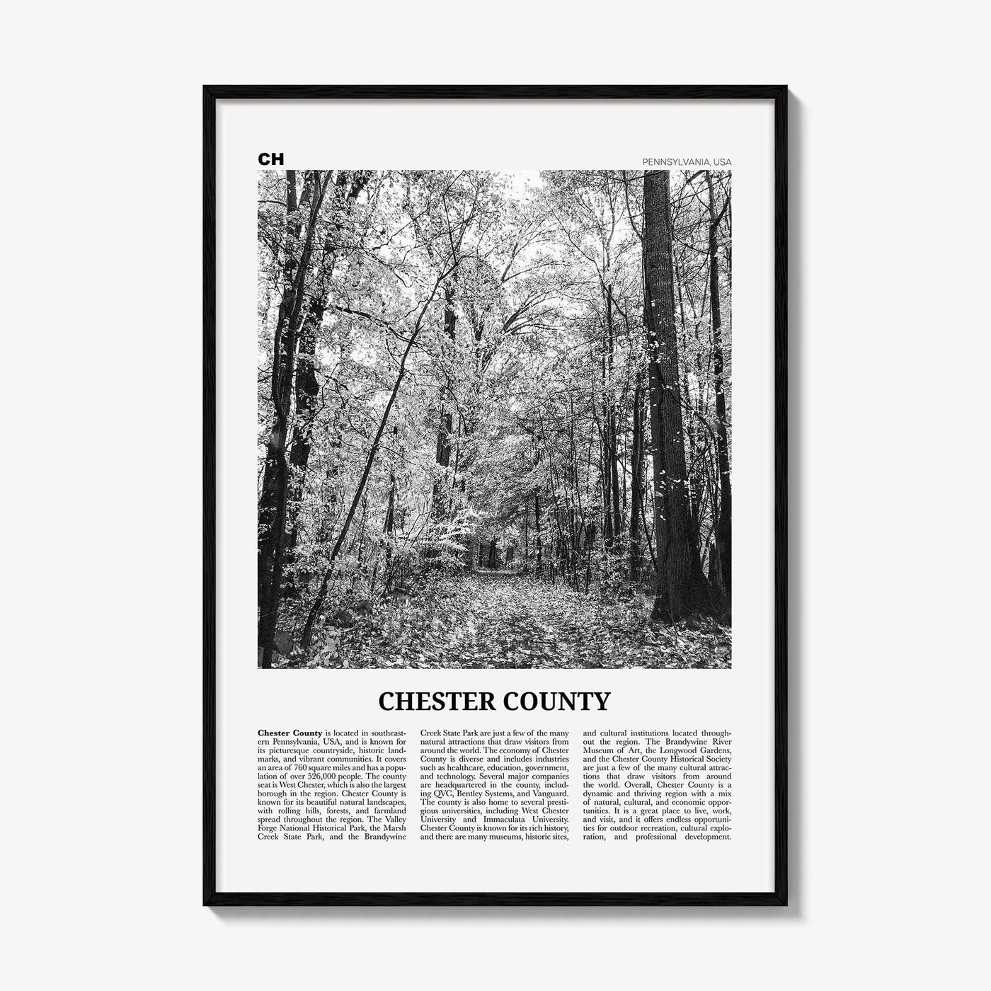 Chester County Print Black and White, Chester County Wall Art, Chester County Poster, Chester County Photo, Chester Wall Décor, Chester Map