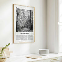 Chester County Print Black and White, Chester County Wall Art, Chester County Poster, Chester County Photo, Chester Wall Décor, Chester Map