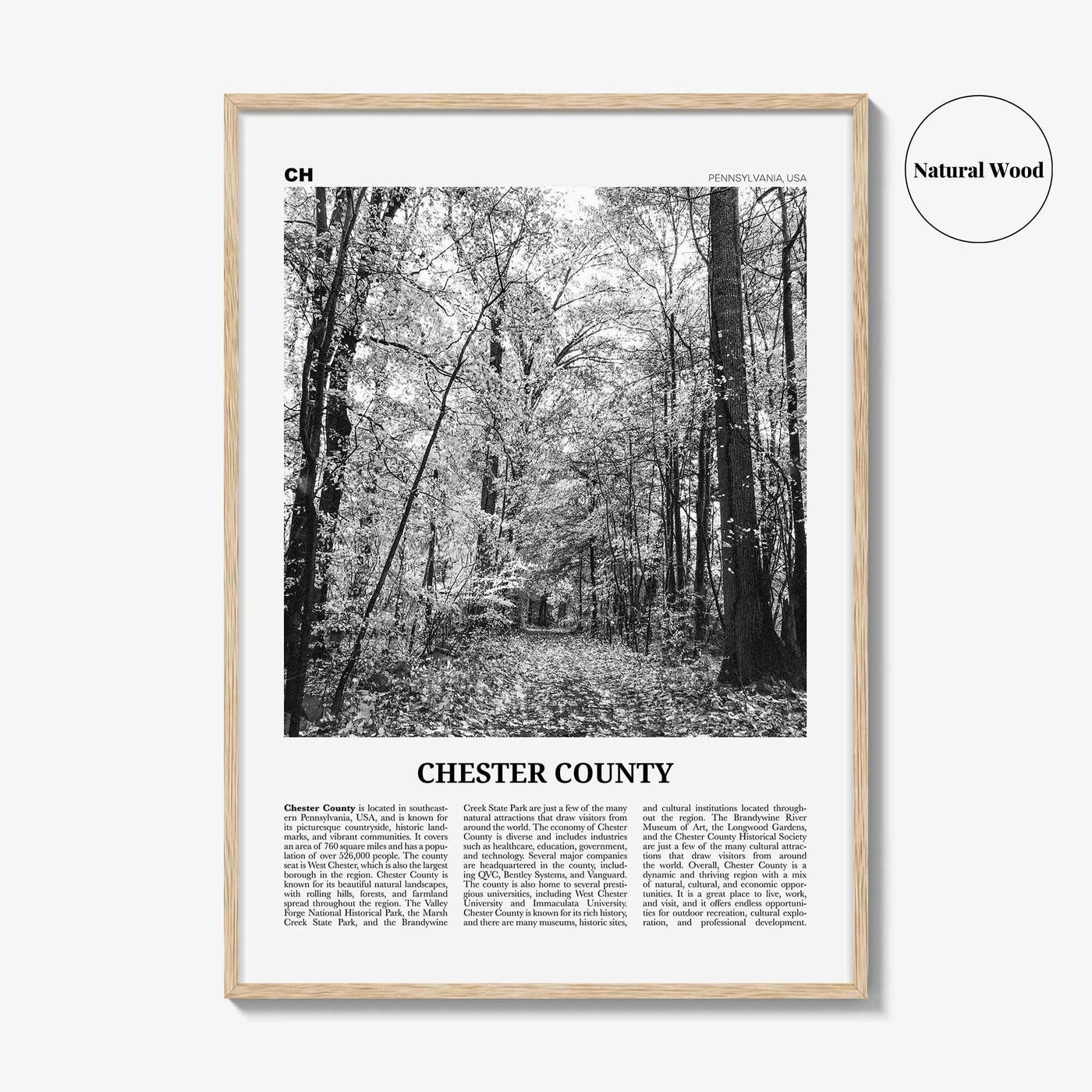 Chester County Print Black and White, Chester County Wall Art, Chester County Poster, Chester County Photo, Chester Wall Décor, Chester Map