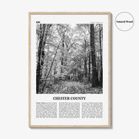 Chester County Print Black and White, Chester County Wall Art, Chester County Poster, Chester County Photo, Chester Wall Décor, Chester Map
