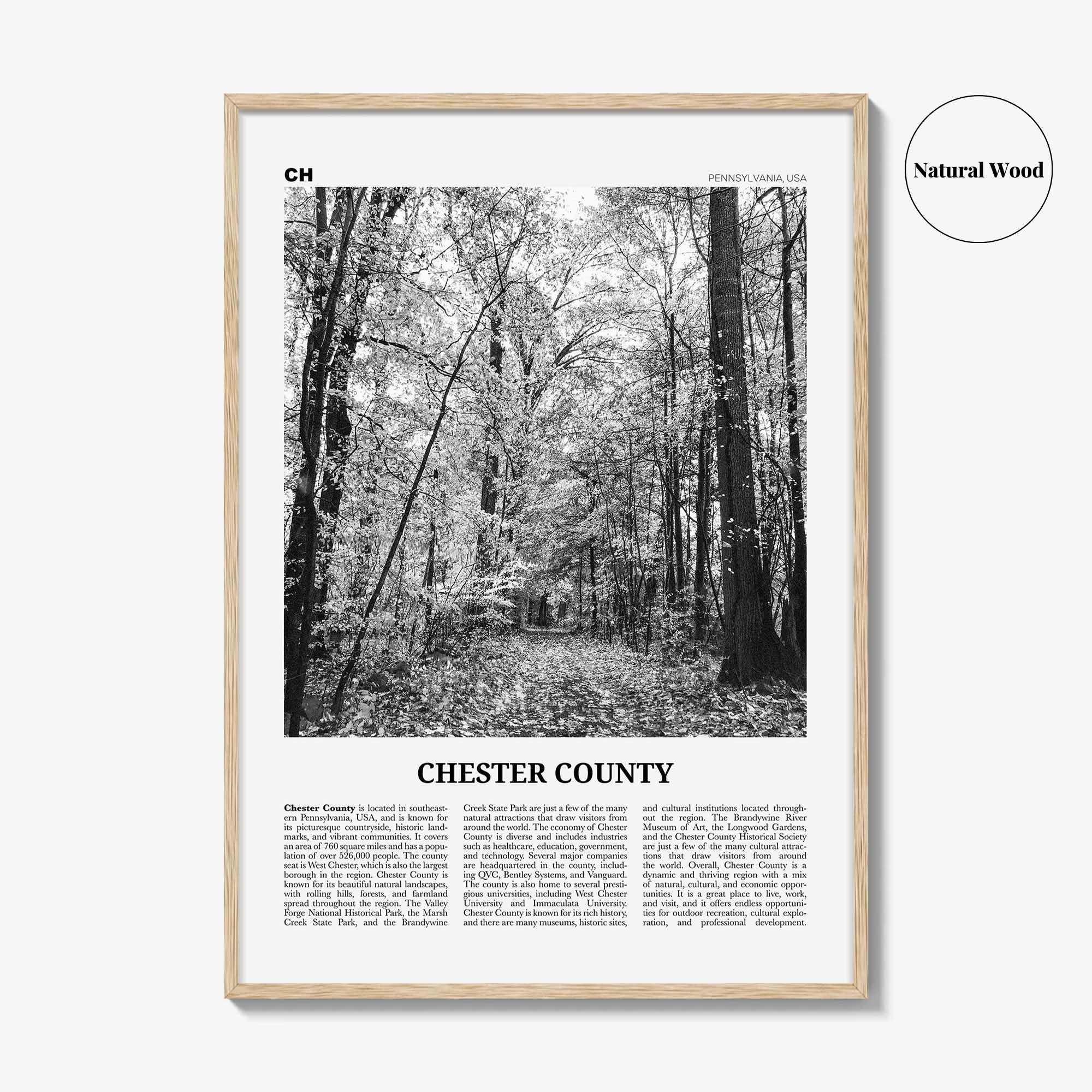 Chester County Print Black and White, Chester County Wall Art, Chester County Poster, Chester County Photo, Chester Wall Décor, Chester Map