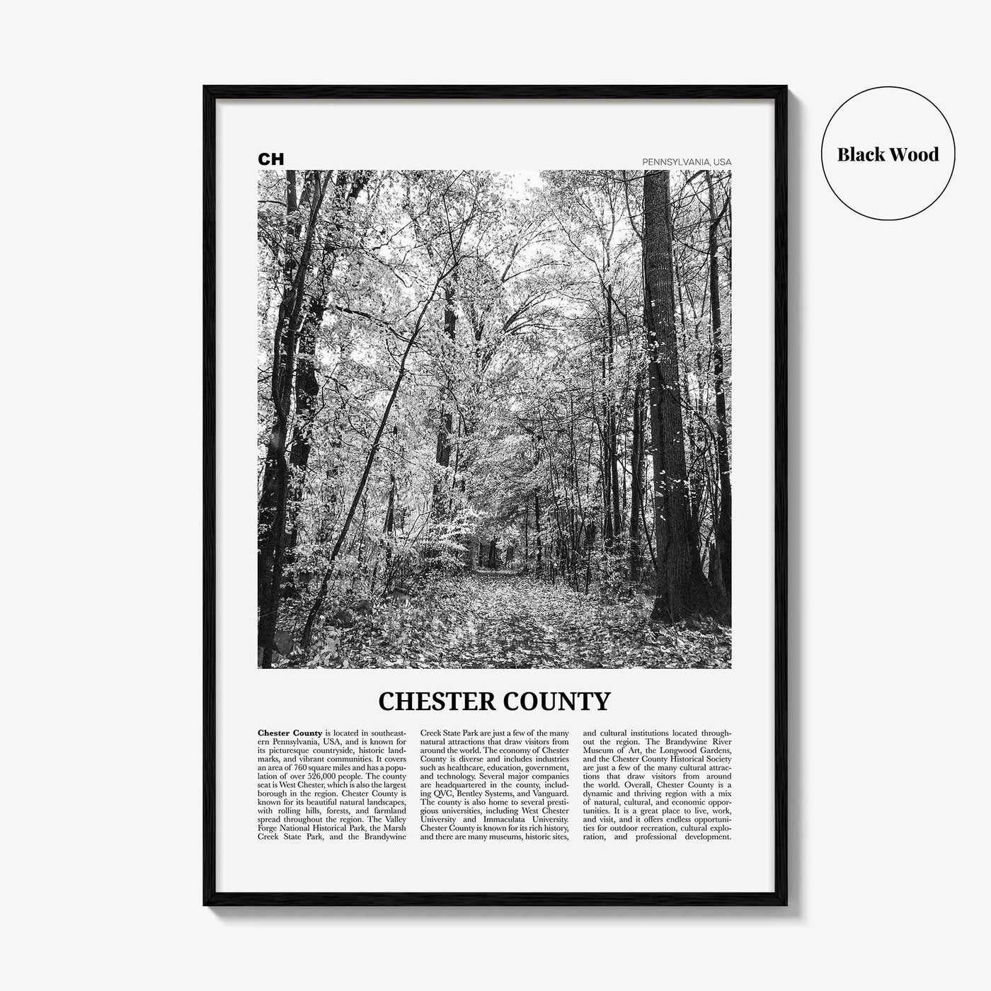 Chester County Print Black and White, Chester County Wall Art, Chester County Poster, Chester County Photo, Chester Wall Décor, Chester Map