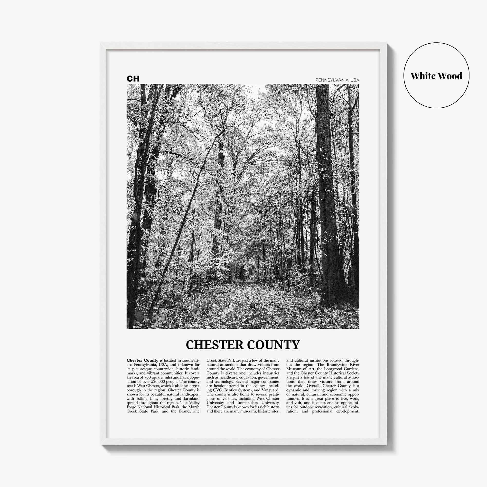 Chester County Print Black and White, Chester County Wall Art, Chester County Poster, Chester County Photo, Chester Wall Décor, Chester Map