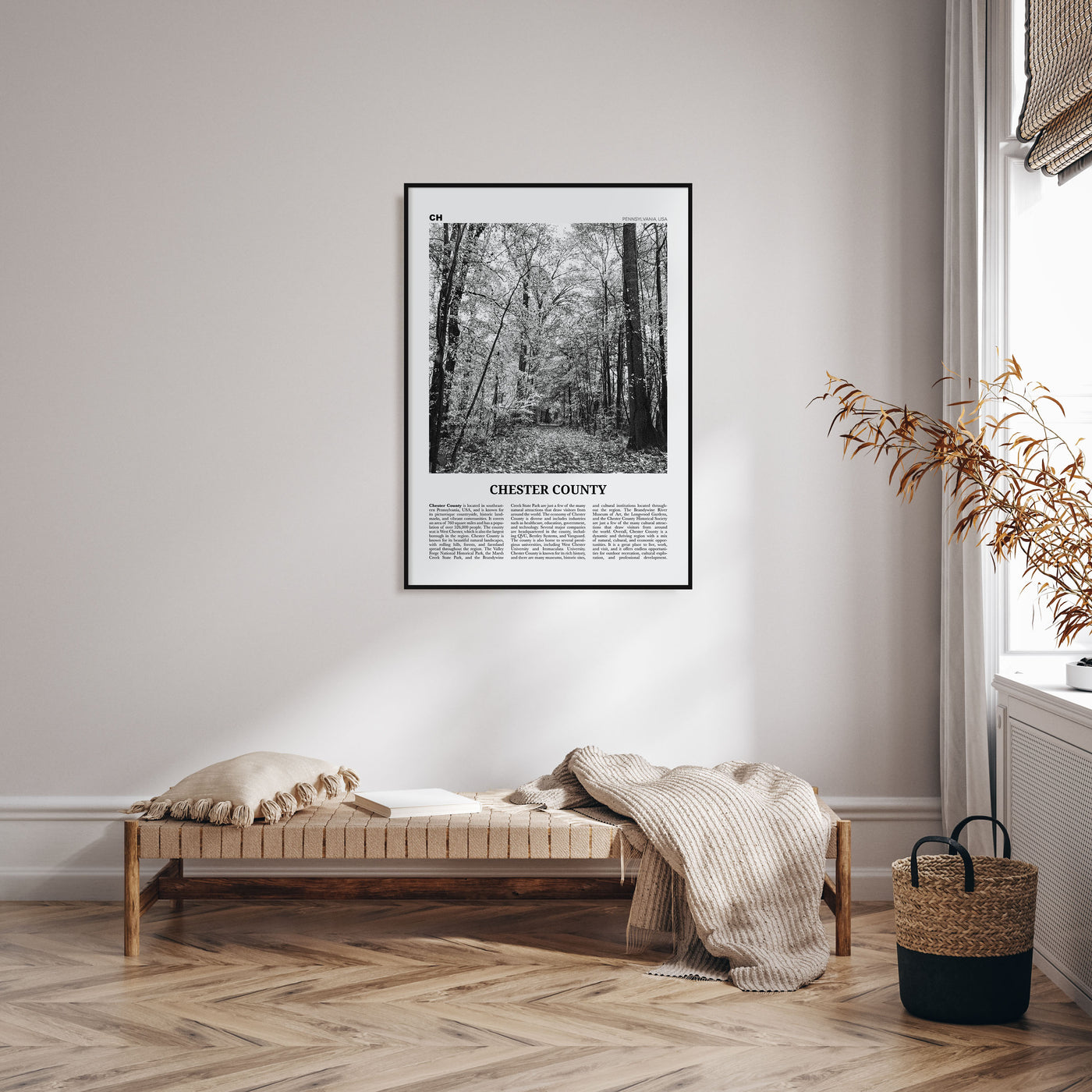 Chester County Travel B&W Poster