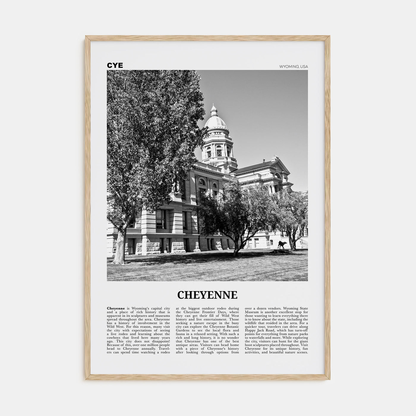 Cheyenne Travel B&W Poster