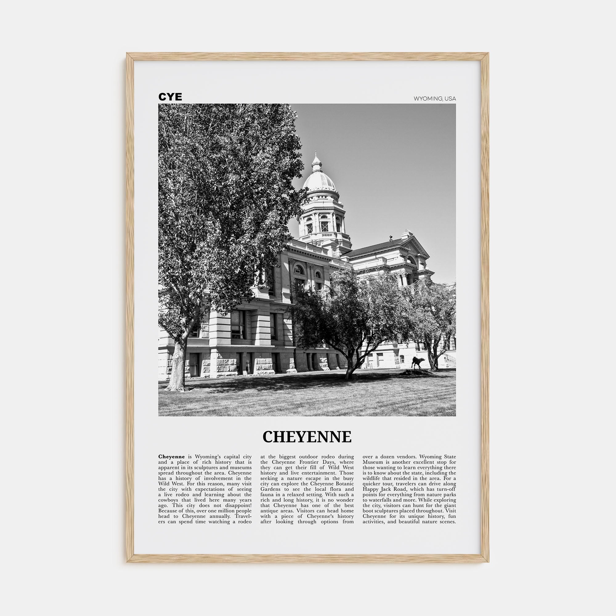 Cheyenne Travel B&W Poster