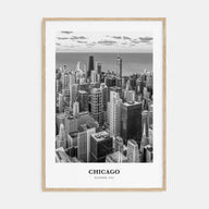 Chicago Portrait B&W No 3 Poster