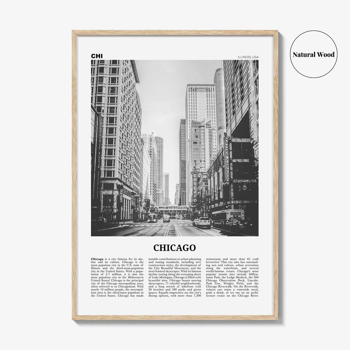 Chicago Print Black and White No 3, Chicago Wall Art, Chicago Poster, Chicago Photo, Chicago Decor, Illinois, USA, United States