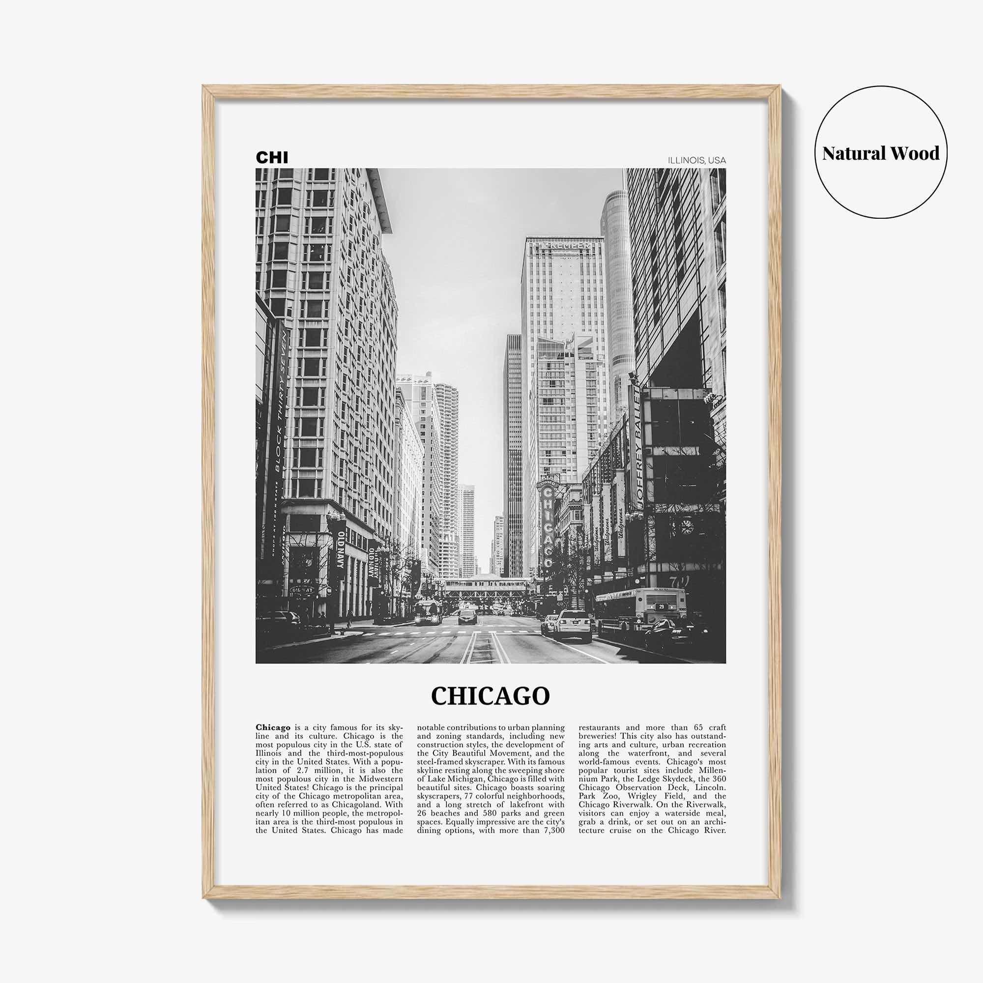 Chicago Print Black and White No 3, Chicago Wall Art, Chicago Poster, Chicago Photo, Chicago Decor, Illinois, USA, United States