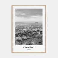 Chihuahua Portrait B&W Poster