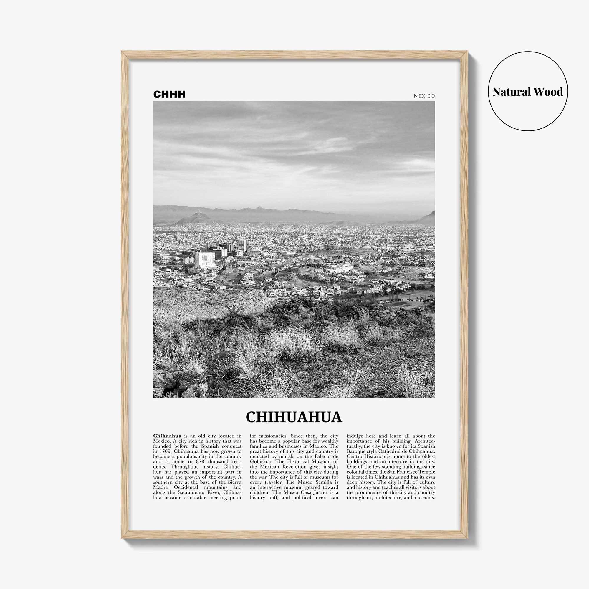 Chihuahua Print Black and White, Chihuahua Wall Art, Chihuahua Poster, Chihuahua Photo, Chihuahua Wall Décor, Mexico