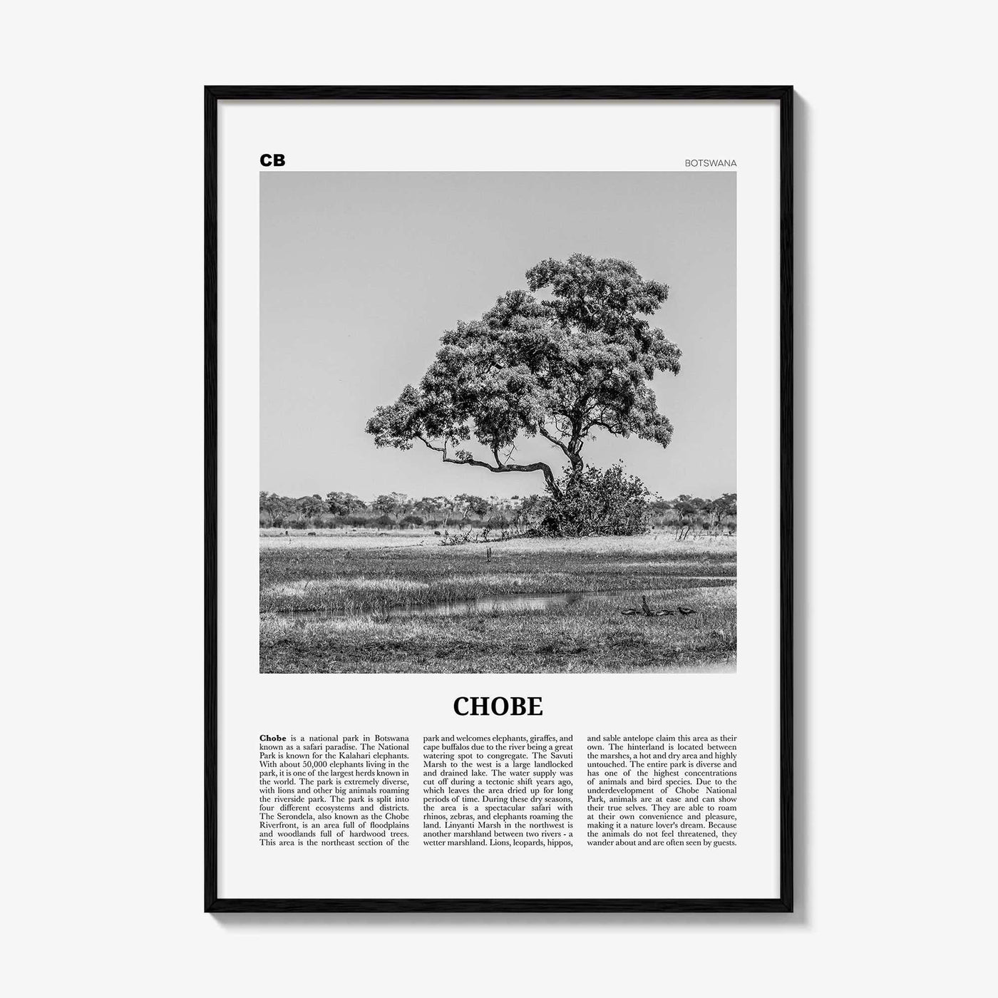 Chobe National Park Print Black and White, Chobe Wall Art, Chobe Poster, Chobe Photo, Chobe Wall Décor, Chobe Map, Botswana