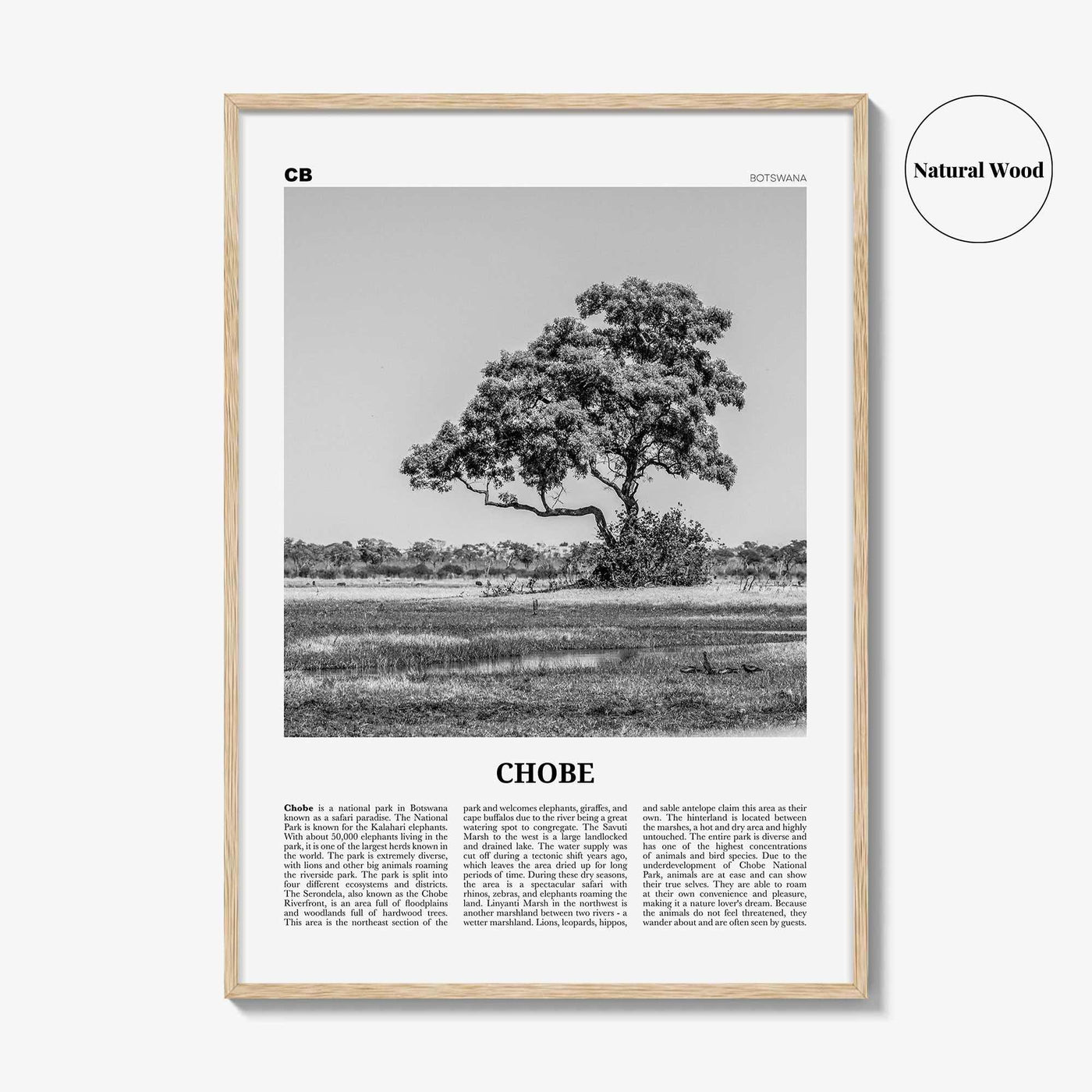 Chobe National Park Print Black and White, Chobe Wall Art, Chobe Poster, Chobe Photo, Chobe Wall Décor, Chobe Map, Botswana