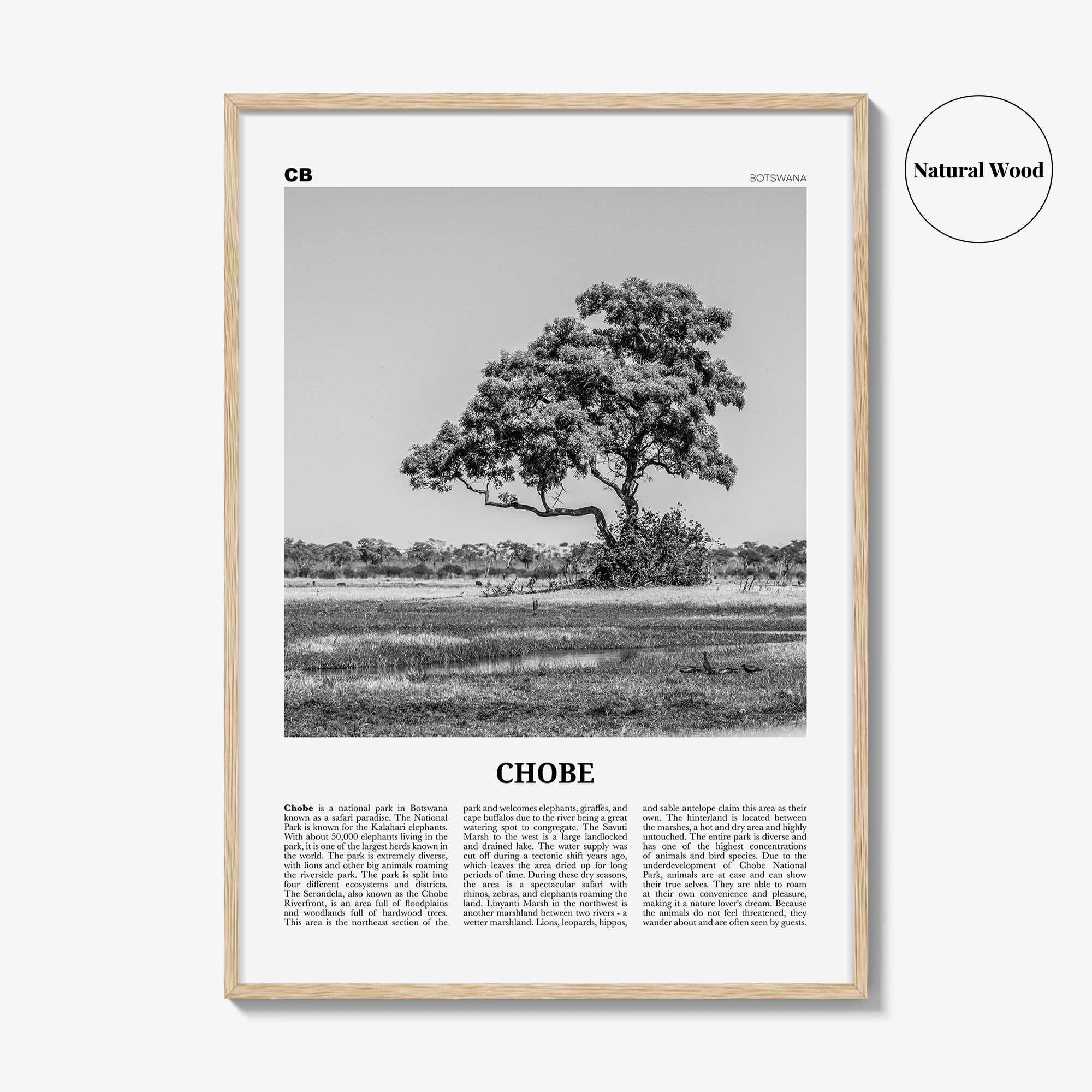 Chobe National Park Print Black and White, Chobe Wall Art, Chobe Poster, Chobe Photo, Chobe Wall Décor, Chobe Map, Botswana