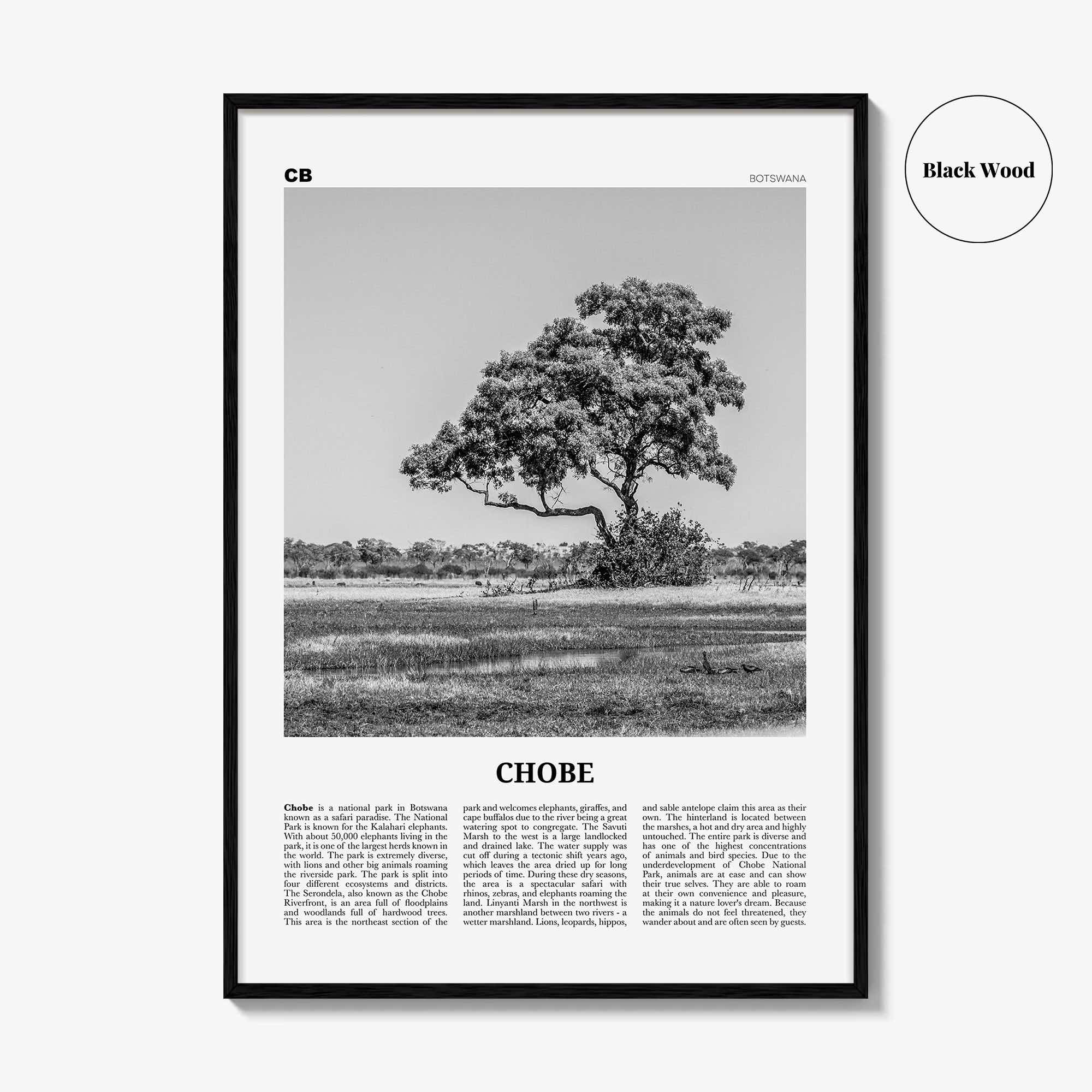 Chobe National Park Print Black and White, Chobe Wall Art, Chobe Poster, Chobe Photo, Chobe Wall Décor, Chobe Map, Botswana