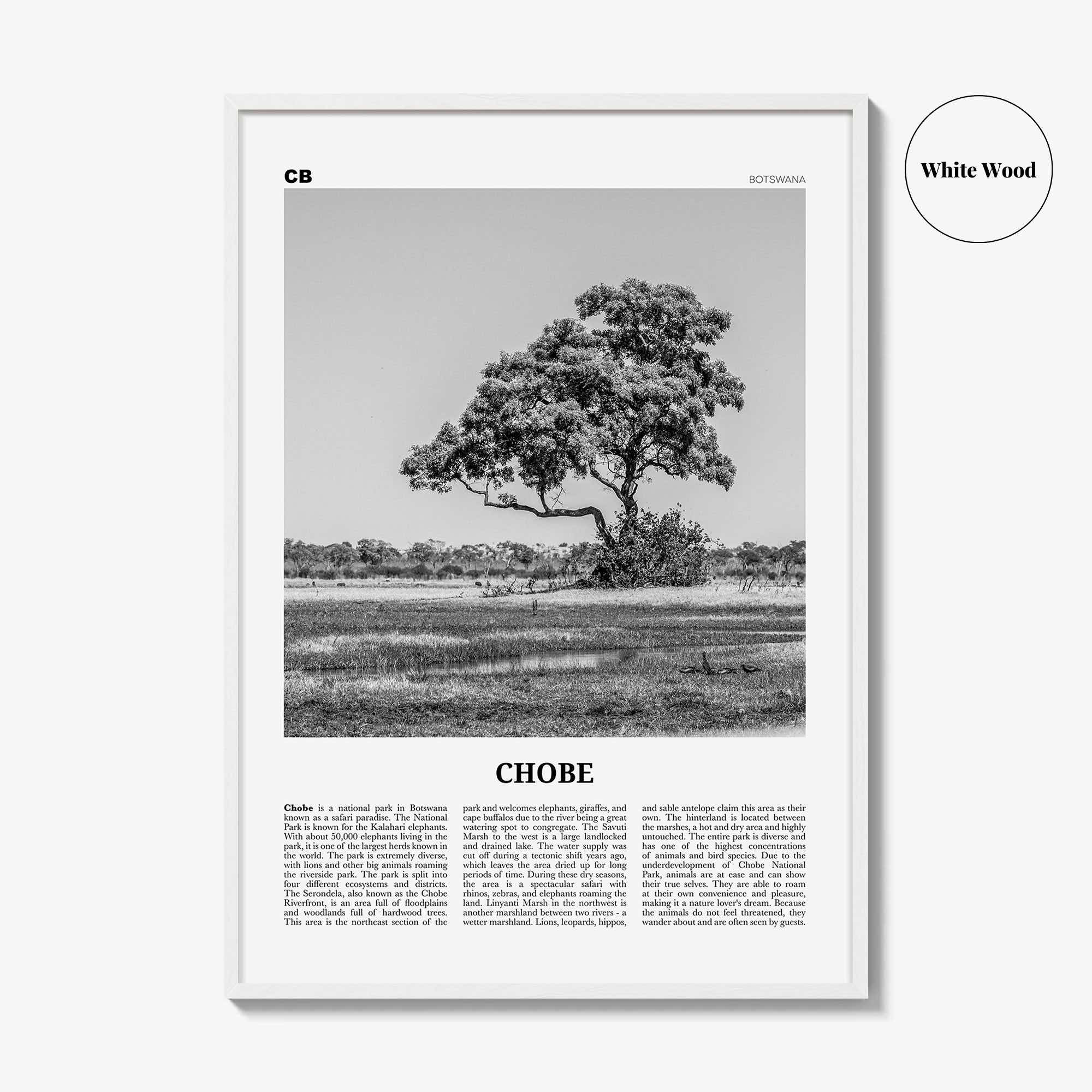 Chobe National Park Print Black and White, Chobe Wall Art, Chobe Poster, Chobe Photo, Chobe Wall Décor, Chobe Map, Botswana