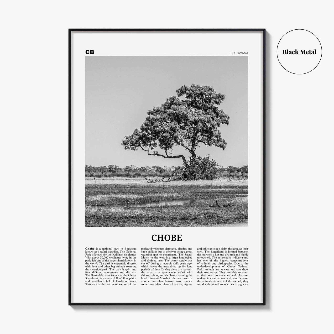 Chobe National Park Print Black and White, Chobe Wall Art, Chobe Poster, Chobe Photo, Chobe Wall Décor, Chobe Map, Botswana