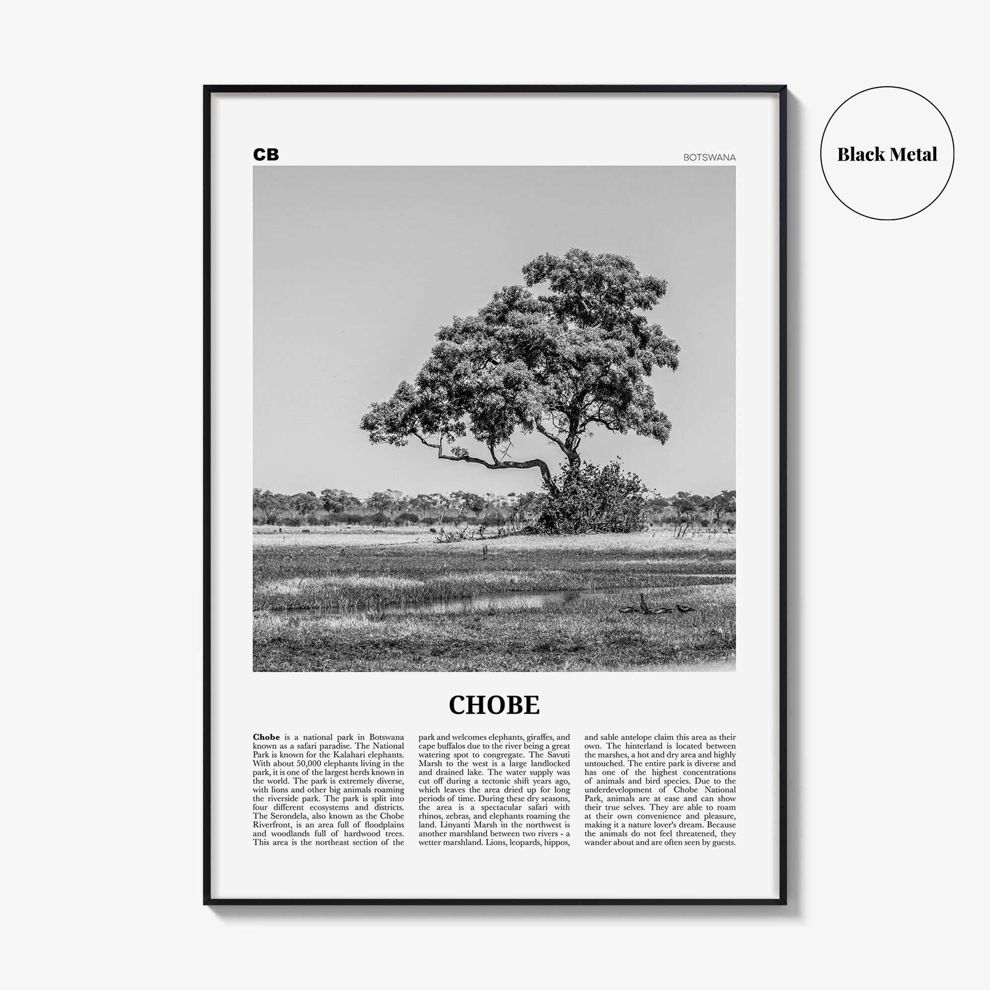 Chobe National Park Print Black and White, Chobe Wall Art, Chobe Poster, Chobe Photo, Chobe Wall Décor, Chobe Map, Botswana
