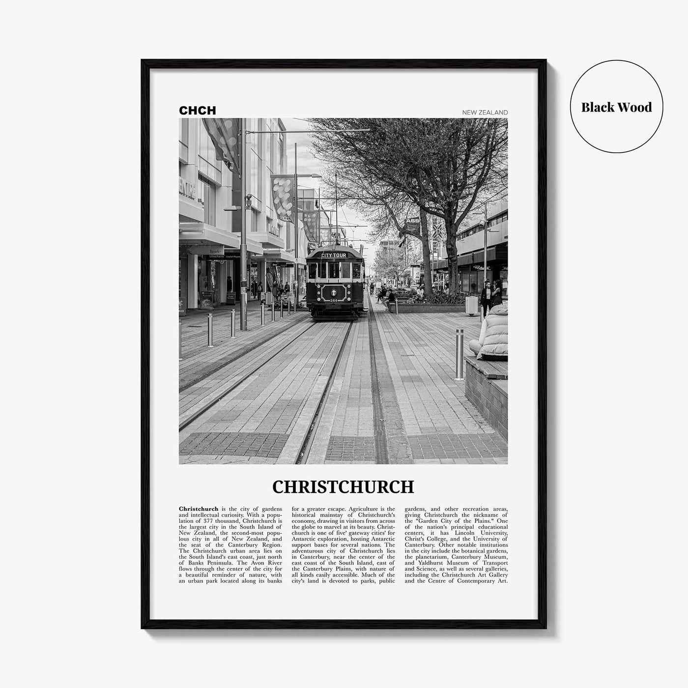 Christchurch Print Black and White No 2, Christchurch Wall Art, Christchurch Poster, Christchurch Photo, New Zealand Poster Print, Oceania