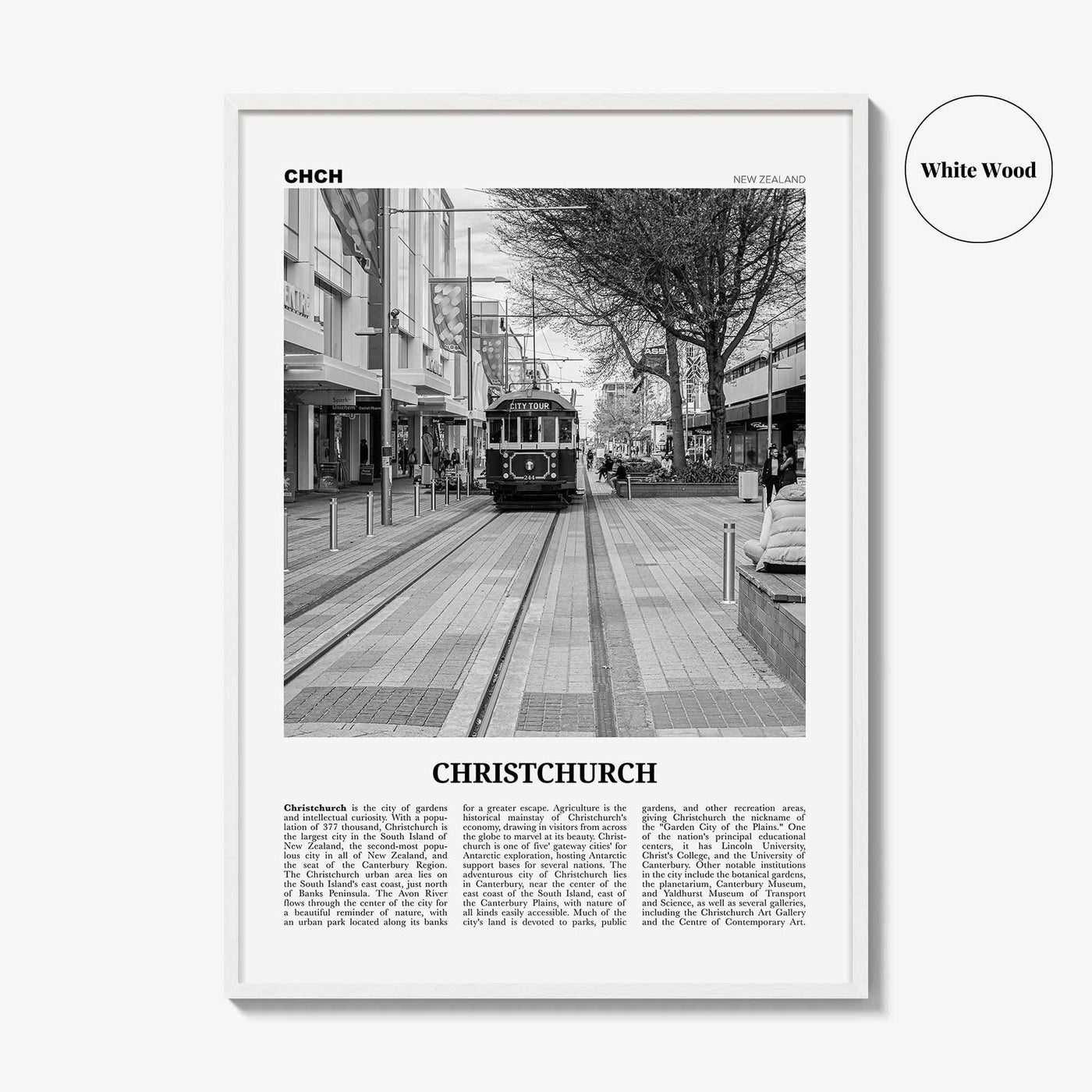 Christchurch Print Black and White No 2, Christchurch Wall Art, Christchurch Poster, Christchurch Photo, New Zealand Poster Print, Oceania