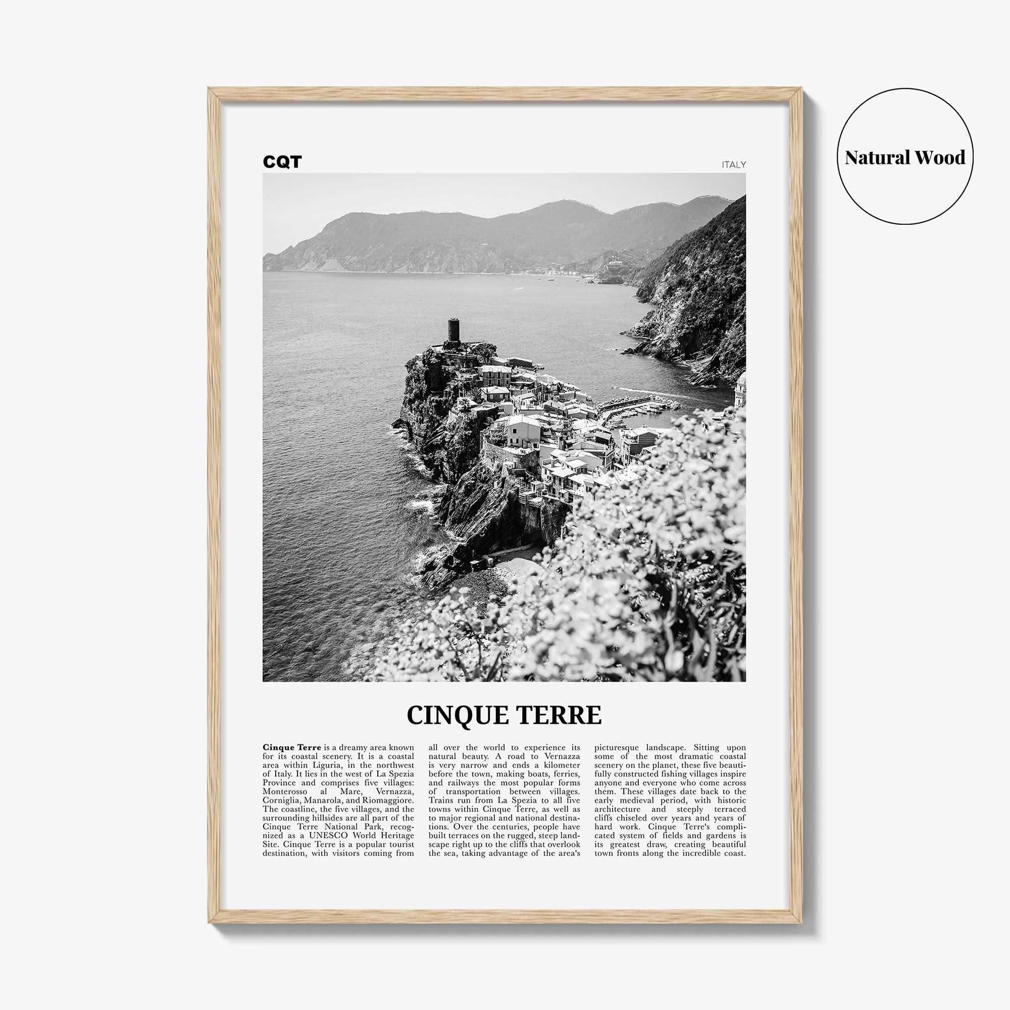 Cinque Terre Print Black and White No 2, Cinque Terre Wall Art, Cinque Terre Poster, Cinque Terre Photo, Italy, Liguria La Spezia