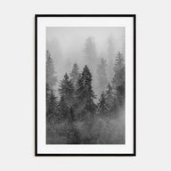 Cloudy Forest Photo B&W No 1 Poster