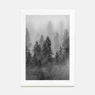 Cloudy Forest Photo B&W No 1 Poster