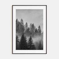 Cloudy Forest Photo B&W No 2 Poster