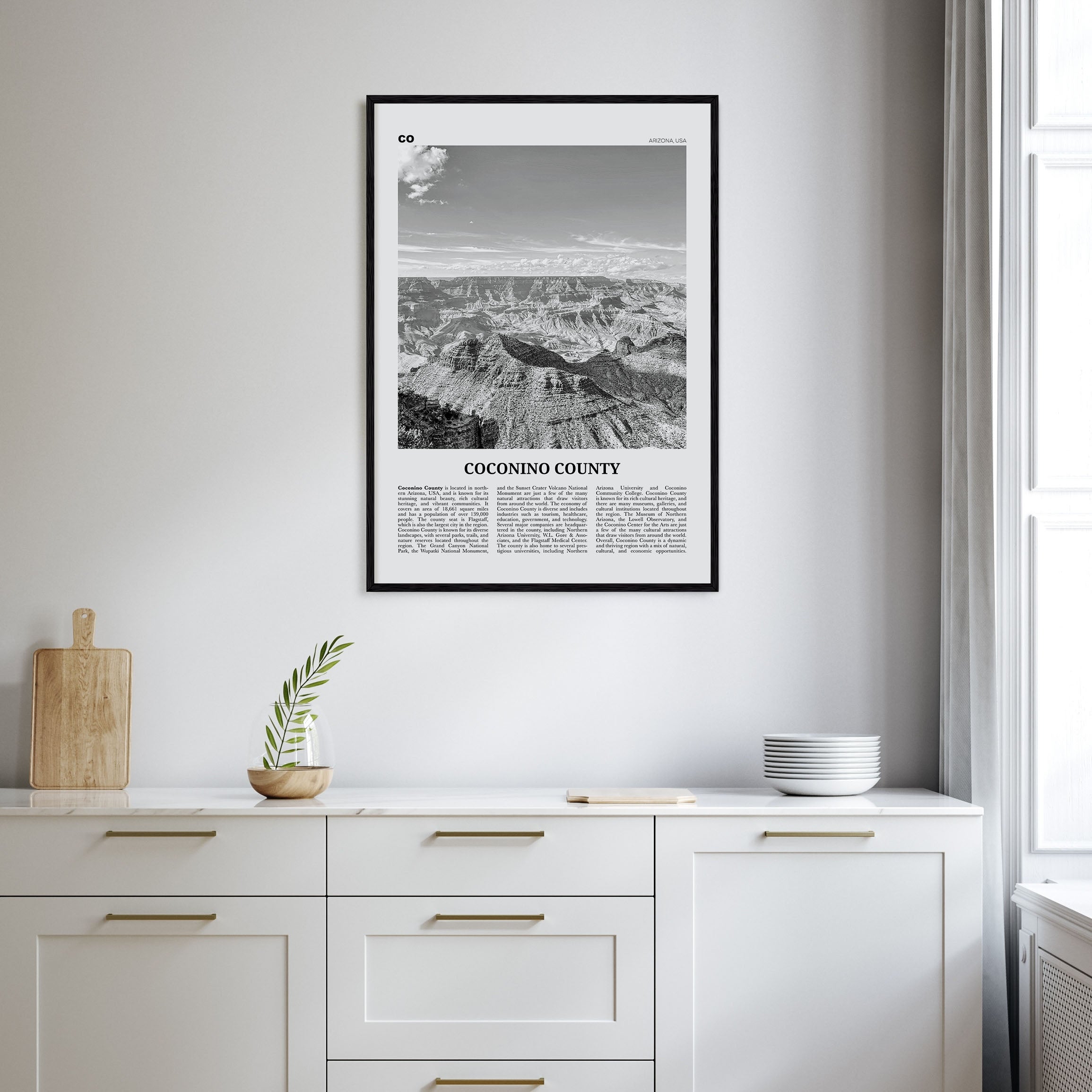 Coconino County Travel B&W Poster