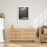 Congaree National Park Portrait Color Poster