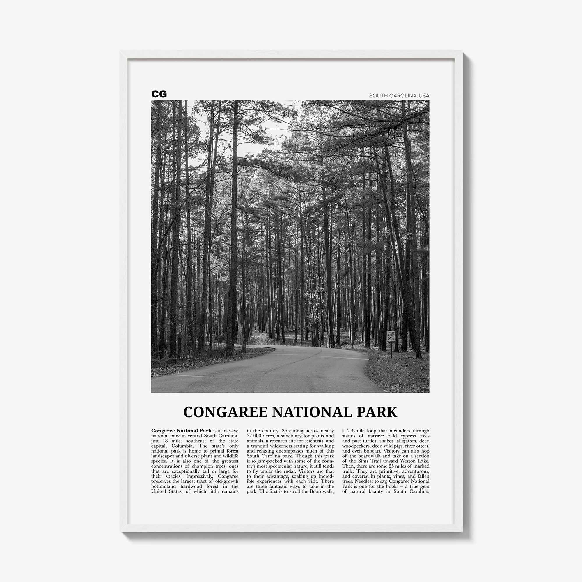 White Wood