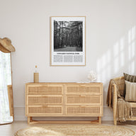 Congaree National Park Travel B&W Poster