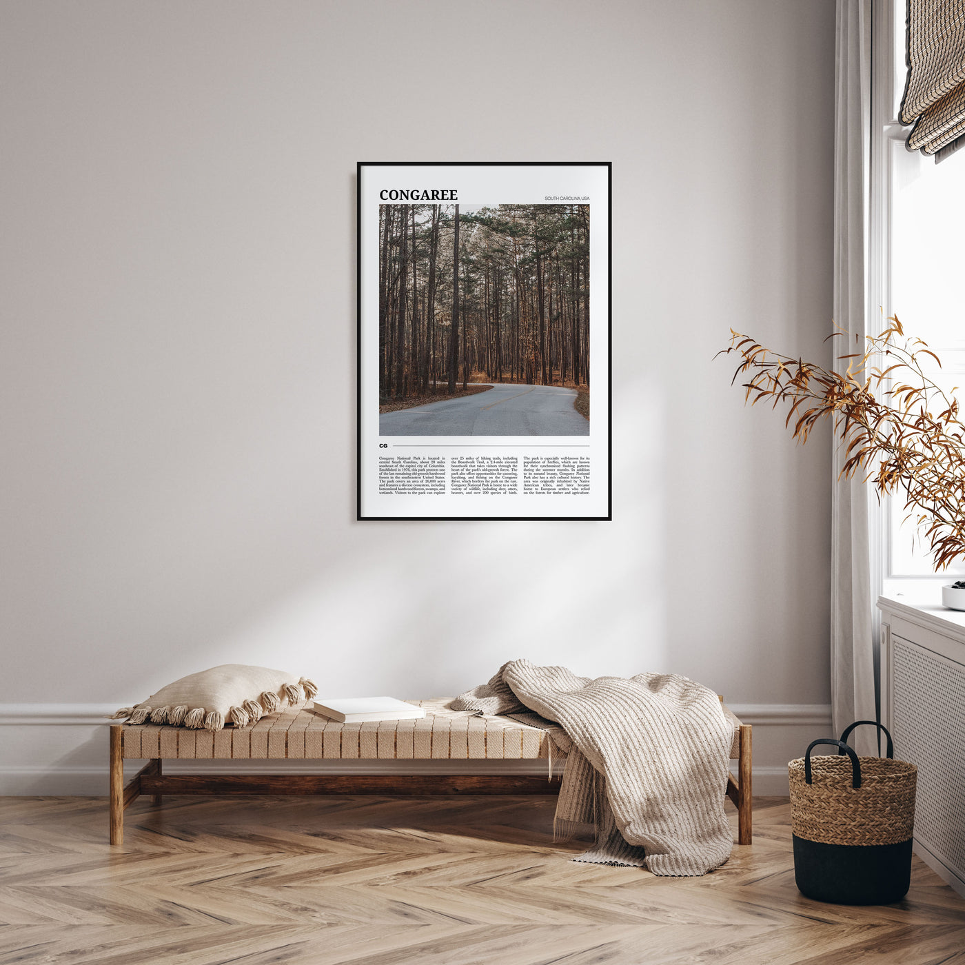 Congaree National Park Travel Color Poster