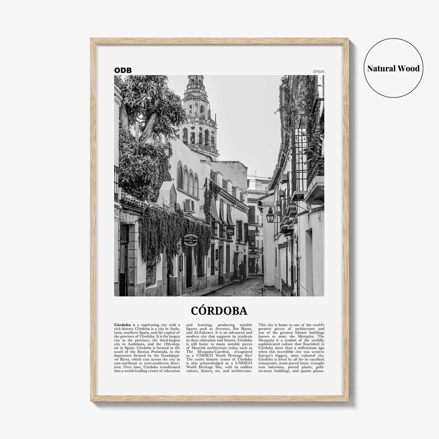 Cordoba Print Black and White Spain, Córdoba Wall Art, Córdoba Poster, Córdoba Photo, Córdoba Wall Decor, Andalucia, Spain, España, Europe