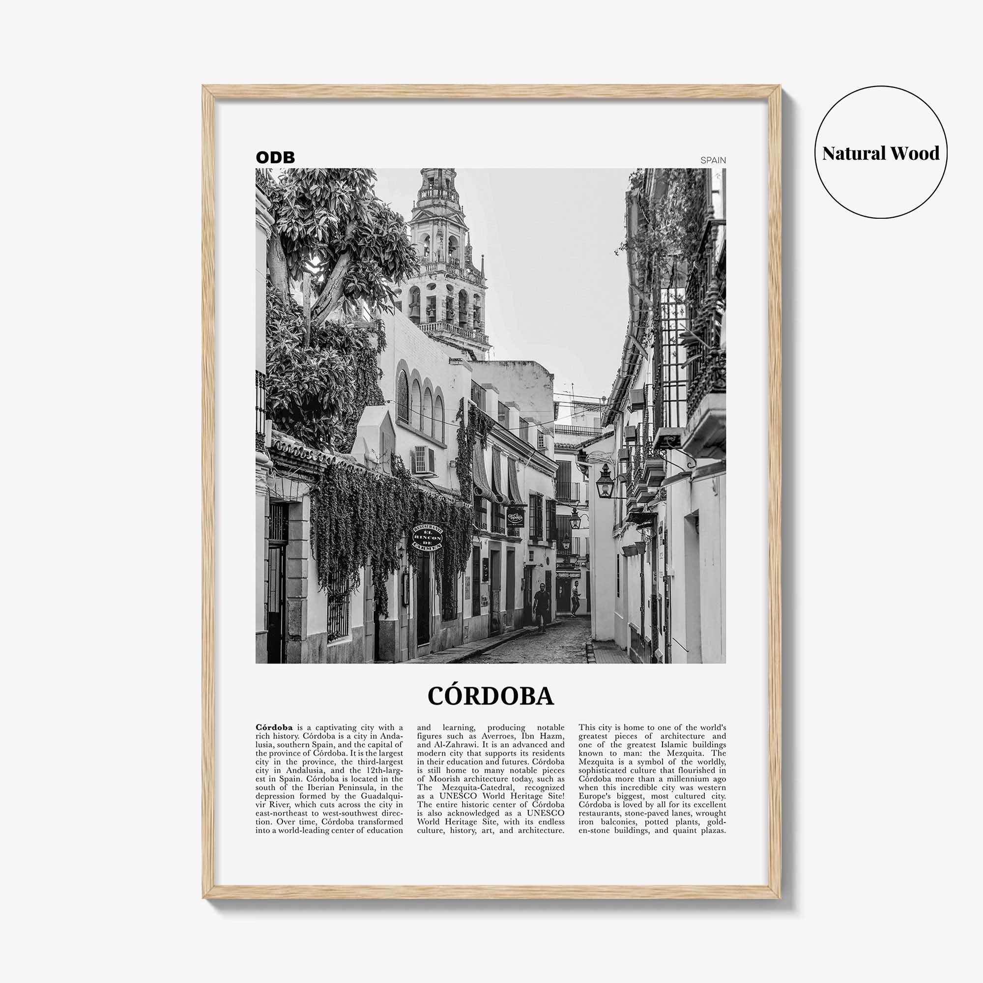 Cordoba Print Black and White Spain, Córdoba Wall Art, Córdoba Poster, Córdoba Photo, Córdoba Wall Decor, Andalucia, Spain, España, Europe