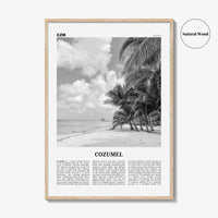 Cozumel Print Black and White, Cozumel Wall Art, Cozumel Poster, Cozumel Photo, Cozumel Wall Décor, Travel Poster Print, Mexico