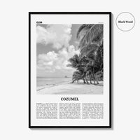 Cozumel Print Black and White, Cozumel Wall Art, Cozumel Poster, Cozumel Photo, Cozumel Wall Décor, Travel Poster Print, Mexico