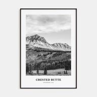Crested Butte Portrait B&W Poster