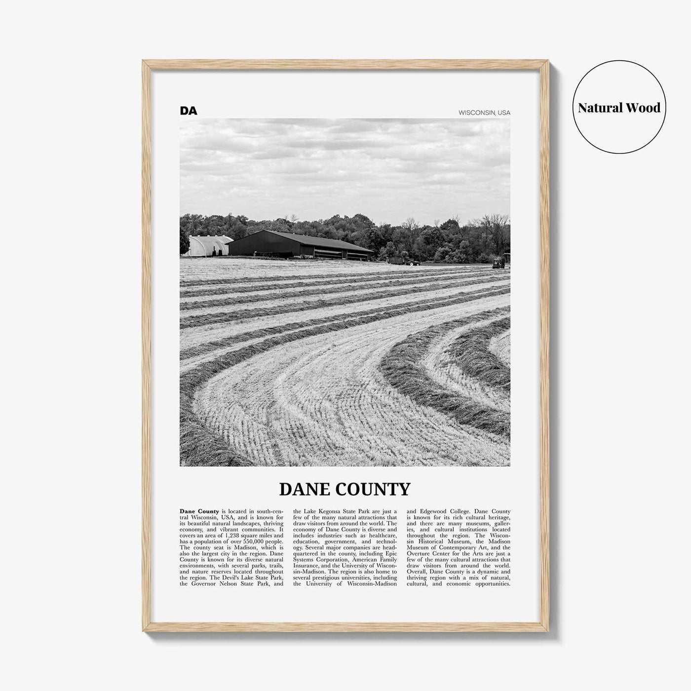 Dane County Print Black and White, Dane County Wall Art, Dane County Poster, Dane County Photo, Dane County Wall Décor, Dane County Map