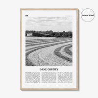 Dane County Print Black and White, Dane County Wall Art, Dane County Poster, Dane County Photo, Dane County Wall Décor, Dane County Map